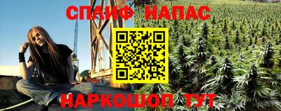 шишки Гусев