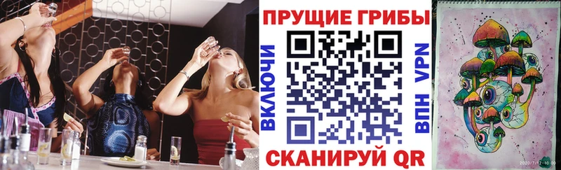 Псилоцибиновые грибы Psilocybe  Нефтекумск 