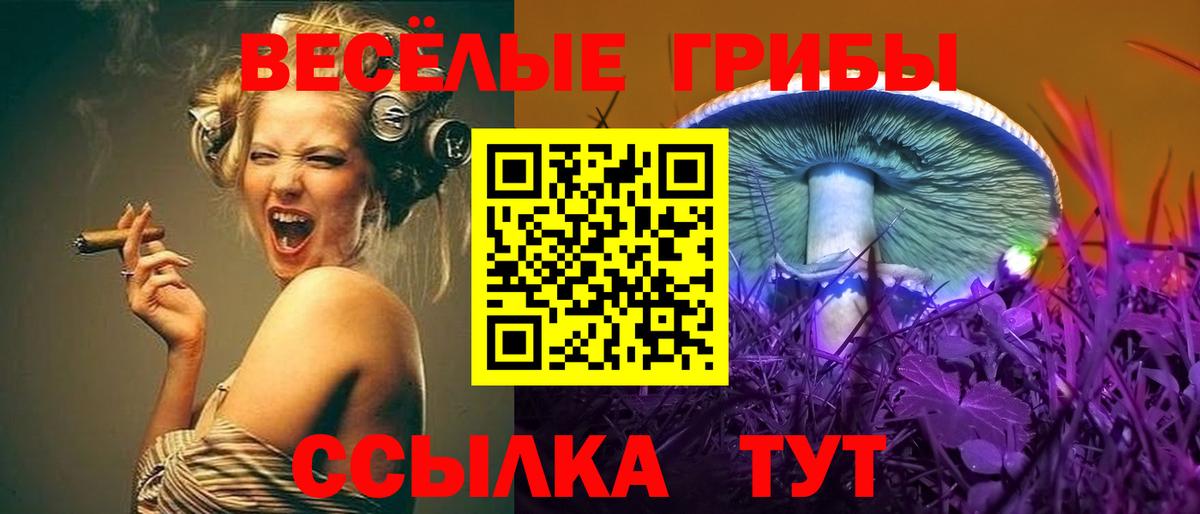 Галлюциногенные грибы мицелий Нефтекумск